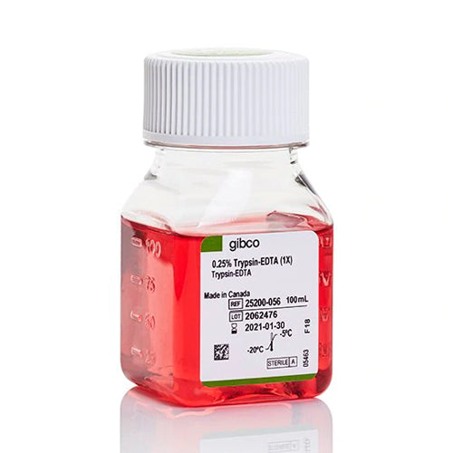 51472. TRYPSIN-EDTA (0.25%), PHENOL RED 100ML - GIBCO