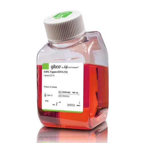 53428. TRYPSIN-EDTA (0.05%), PHENOL RED 500ML - GIBCO