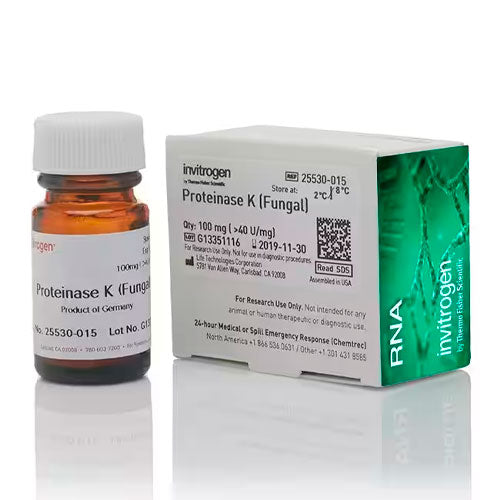 26790. PROTEINASA K RECOMBINANTE 100MG INVITROGEN