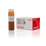 55730. PROTEINASA K RECOMBINANTE 1GR - INVITROGEN