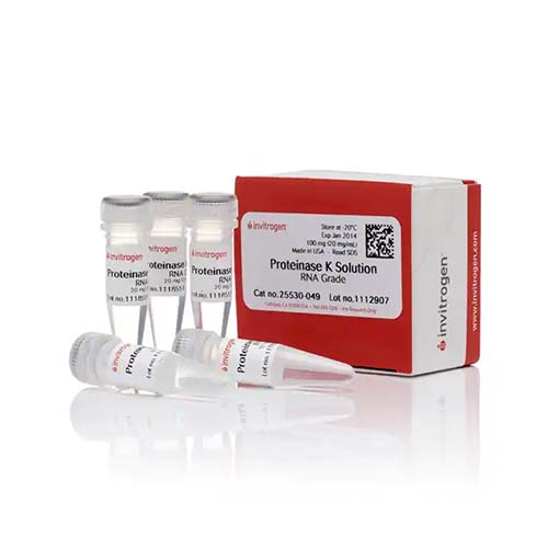 22748. SOLUCION PROTEINASA K /20MG/ML) GRADO DE ARN 5ML INVITROGEN