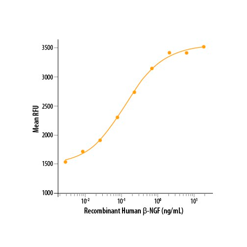 18203. RECOMBINANT HUMAN BETA-NGF PROTEIN 100UG - R&D SYSTEMS