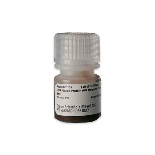 53357. PERLAS MAGNETICAS DE PROTEINA A/G GRADO CHIP 5ML - PIERCE