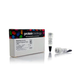 53264. PAGERULER PRESTAINED PROTEIN LADDER 10-180KDA 10X250UL - PIERCE