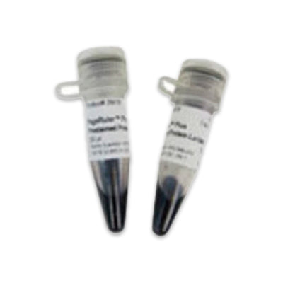 53387. PAGERULER PLUS PRESTAINED PROTEIN LADDER 10-250KDA 10X250UL - PIERCE