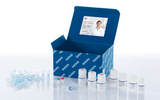 54074. KIT DE PURIFICACION DE ADN PLASMIDICO 50 PREPS - QIAGEN