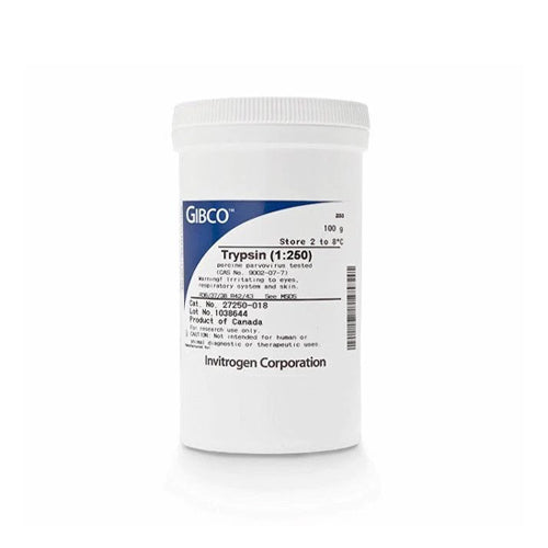 53408. TRIPSINA (1:250)  POLVO 100GR - GIBCO