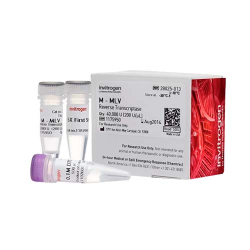 55459. TRANSCRIPTASA INVERSA M-MLV 200U/UL 200,000U  - INVITROGEN