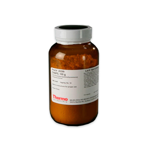 10035. DETERGENTE CHAPS (3-((3-COLAMIDOPROPIL) DIMETILAMONIO)-1-PROPANESULFONATE 100GR - PIERCE