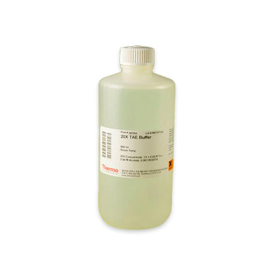 53044. 20X TAE BUFFER 500ML - PIERCE