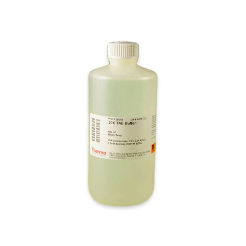 10368. 20X TAE BUFFER 500ML - PIERCE