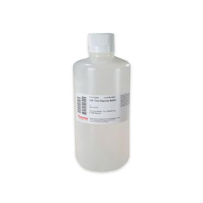 53352. BUFFER TRIS-GLICINE 10X 1LT - PIERCE