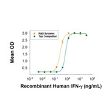 18201. RECOMBINANT HUMAN IFN-GAMMA PROTEIN 100UG - R&D SYSTEMS