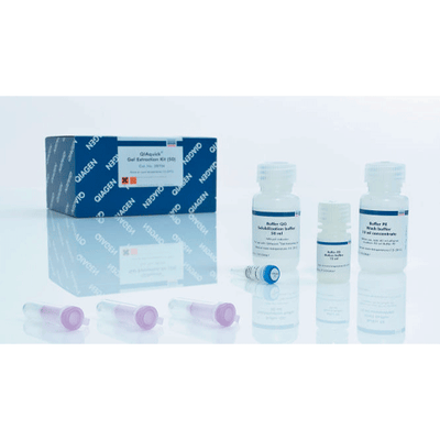 53927. KIT DE EXTRACCION DE GEL QIAQUICK 50 REACCIONES QIAGEN