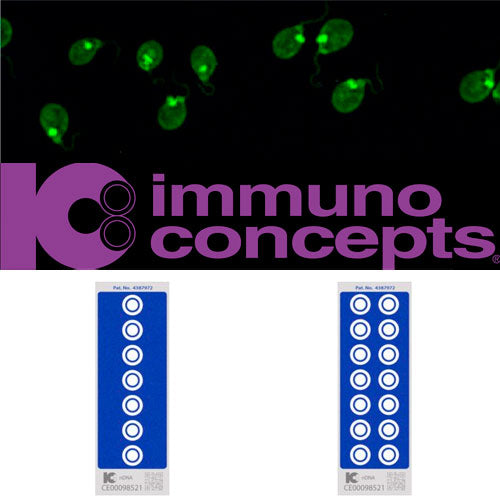 25546. SISTEMA DE ANÁLISIS DE ADNN POR INMUNOFLUORESCENCIA IMMUNO CONCEPTS 70 PRUEBAS IMMUNO CONCEPTS
