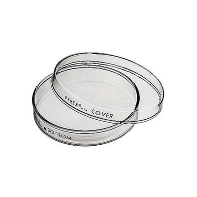 14152. CAJA PETRI 100X10MM DE VIDRIO COMPLETA NO ESTERIL PYREX
