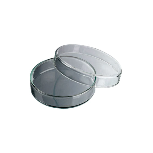 50146. CAJA PETRI DE VIDRIO COMPLETA C/TAPA - PYREX