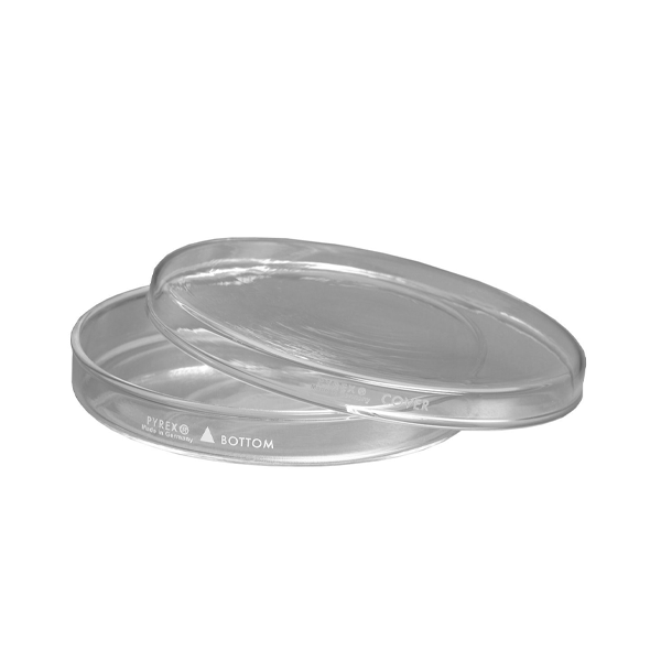 2903. CAJA PETRI 100X20MM DE VIDRIO COMPLETA REUSABLE PAQUETE C/2 PIEZAS  PYREX