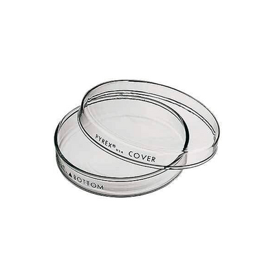 2851. CAJA PETRI 150X15MM DE VIDRIO C/TAPA NO ESTERIL - PYREX