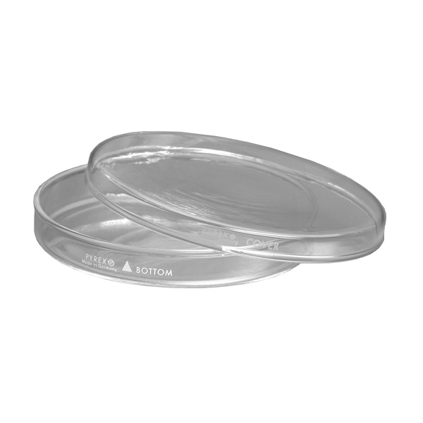 2839. CAJA PETRI 150X20MM DE VIDRIO REUSABLE - PYREX