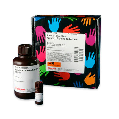 52977. ECL PLUS WESTERN BLOTTING SUBSTRATE 100ML - PIERCE