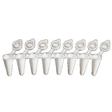51579. MICROTUBOS PCR 0.1ML CLARO NO ESTERIL PERFIL BAJO C/TAPA PLANA EN TIRA C/8 PIEZAS, DE POLIPROPILENO COLOR BLANCO PAQUETE C/120 PIEZAS SSIBIO