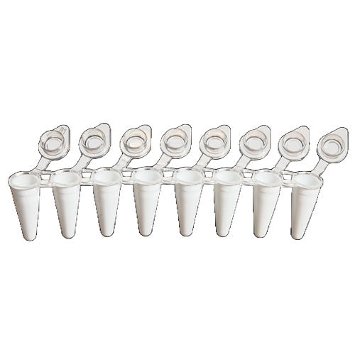 51579. MICROTUBOS PCR 0.1ML CLARO NO ESTERIL PERFIL BAJO C/TAPA PLANA EN TIRA C/8 PIEZAS, DE POLIPROPILENO COLOR BLANCO PAQUETE C/120 PIEZAS SSIBIO