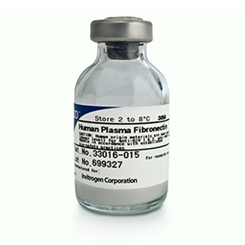5937. FIBRONECTINA PROTEINA HUMANA PLASMA 5MG - GIBCO