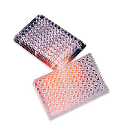 15440. SISTEMA PERMEABLE HTS TRANSWELL P/PLACA 96 POZOS, MEMBRANA DE POLIESTER 8.0UM, ESTERIL C/TAPA CAJA C/8 PIEZAS - CORNING