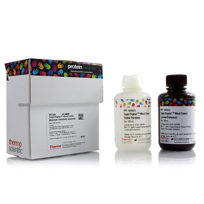 52896. SUPERSIGNAL WEST FEMTO MAXIMUM SENSITIVITY SUBSTRATE 200ML - PIERCE