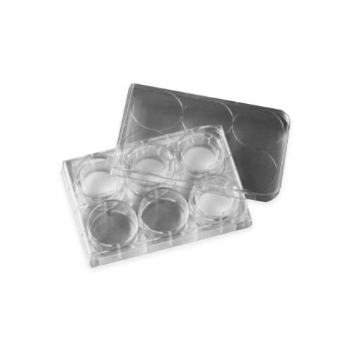 16064. MEMBRANA FILTRANTE TRANSWELL POLICARBONATO 24MM, PORO 8.0UM, TRATADA, ESTERIL PAQUETE C/6 PIEZAS - CORNING