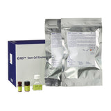 4728. STEM CELL ENUMERATION KIT 50 TESTS - BD BIOSCIENCES