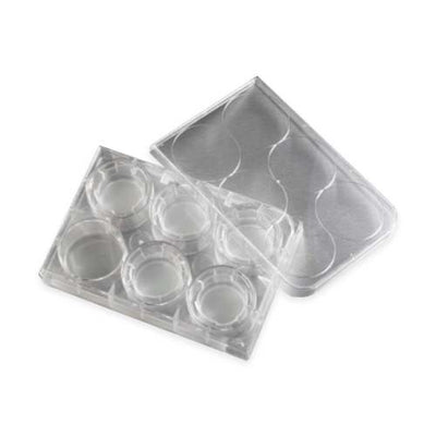 MEMBRANA FILTRANTE TRANSWELL POLIESTER 24MM, PORO 0.4UM, TRATADA, ESTERIL PAQUETE C/6 PIEZAS - CORNING