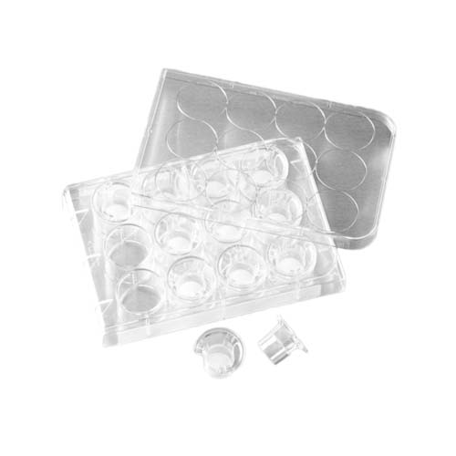 15630. MEMBRANA FILTRANTE TRANSWELL POLIESTER 12MM, PORO 0.4, ESTERIL PAQUETE C/12 PIEZAS - CORNING