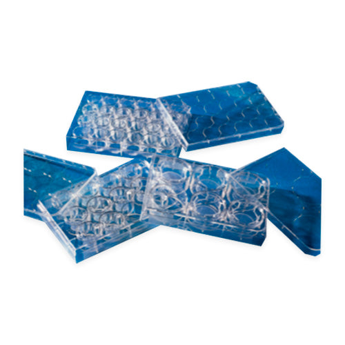 11492.INSERTO DE MEMBRANA TRANSWELL 6.5MM, 8.0UM POLIESTER, ESTERIL PAQUETE C/12 PIEZAS - CORNING