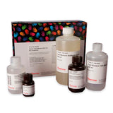 52975. FAST WESTERN BLOT KIT ECL SUBSTRATE 1LT - PIERCE