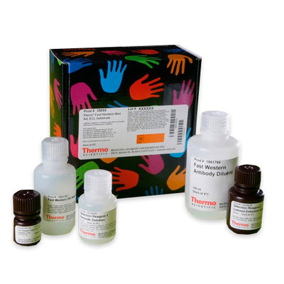 53000. FAST WESTERN BLOT KIT ECL SUBSTRATE 200ML - PIERCE