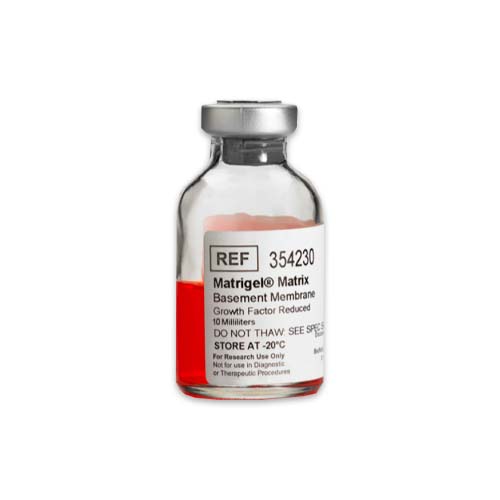 14133. GROWTH FACTOR REDUCED (GFR) BASEMENT MEMBRANE MATRIX LDEV-FREE 10ML MATRIGEL - CORNING