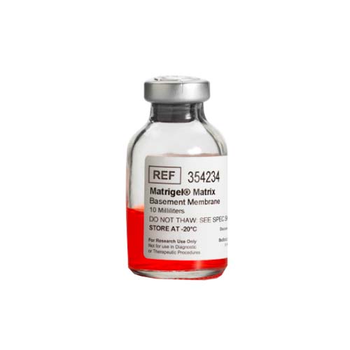 14135. BASEMENT MEMBRANE MATRIX, LDEV-FREE MATRIGEL 10ML - CORNING