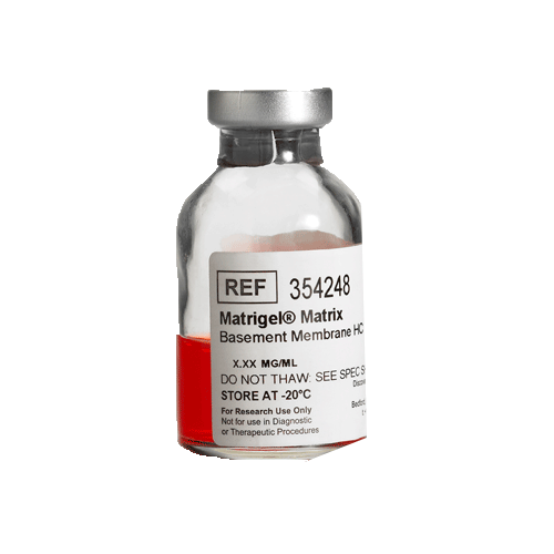 24636. MATRIGEL BASEMENT MEMBRANE MATRIX HIGH CONCENTRATION (HC) LDEV-FREE 10ML CORNING