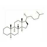 18511. STD (5-ALPHA)-CHOLESTANE 100MG - EXTRASYNTHESE