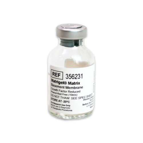 14132. GROWTH FACTOR REDUCED (GFR) BASEMENT MEMBRANE MATRIX PHENOL RED-FREE, LDEV-FREE MATRIGEL 10ML - CORNING