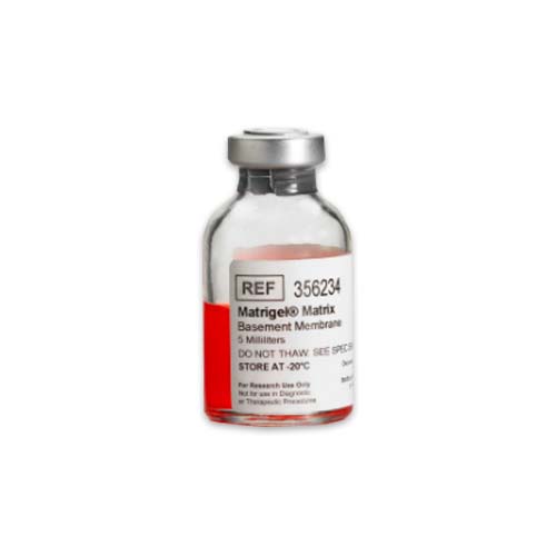 14136. BASEMENT MEMBRANE MATRIX, LDEV-FREE MATRIGEL 5ML - CORNING