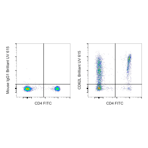 26871. CD62L (L-SELECTIN) MONOCLONAL ANTIBODY (DREG-56 (DREG56)) BRILLIANT ULTRA VIOLET 615, 100 TESTS EBIOSCIENCE INVITROGEN