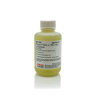 52996. BLOCKER BSA IN TBS (10X) 125ML - PIERCE