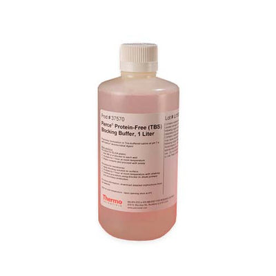 52926. PROTEIN-FREE (TBS) BLOCKING BUFFER 1LT - PIERCE