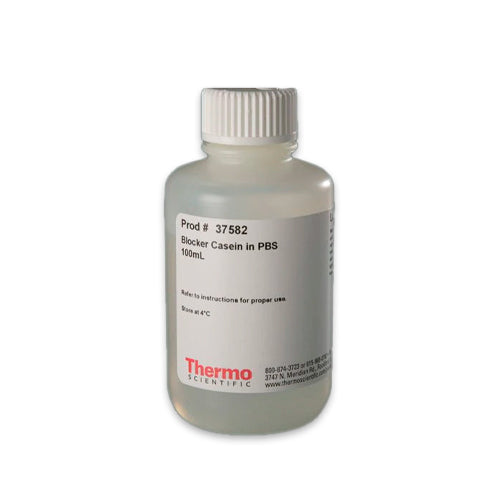53116. BLOCKER CASEIN IN PBS 100ML - PIERCE