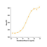 7506. RECOMBINANT MOUSE IL-3 10UG - R&D SYSTEMS