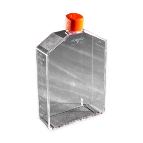 16211. FRASCO P/CULTIVO CELULAR 225CM CUELLO ANGULADO, TRATADO TC C/TAPA VENTILADA, ESTERIL PAQUETE C/5 PIEZAS - CORNING
