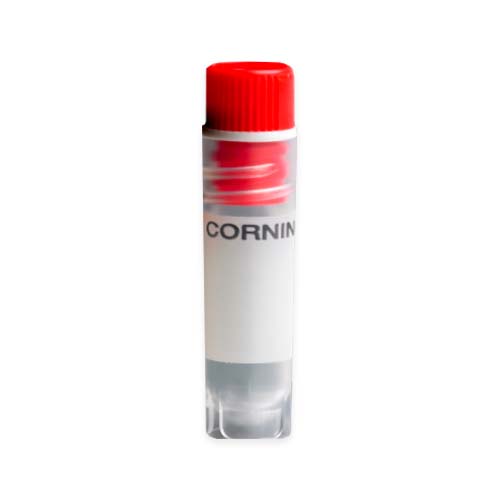 16264. VIAL CRIOGENICO (CRIOVIAL) 2ML POLIPROPILENO FONDO REDONDO, CON FALDON, ROSCA INTERNA, TAPA ROJA  PAQUETE C/50 PIEZAS - CORNING